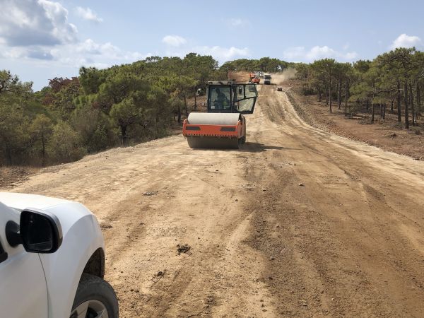 Cost of Driveway Grading in San Luis Obispo