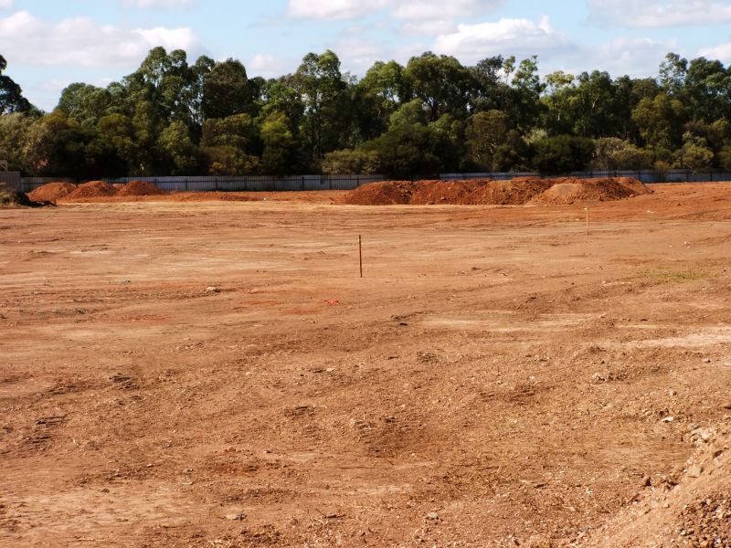 Finished Site Preparation